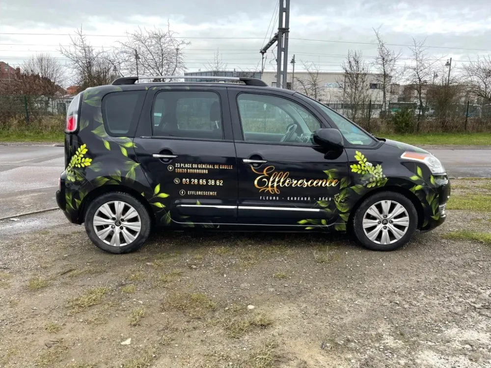 Vehicule voiture pub